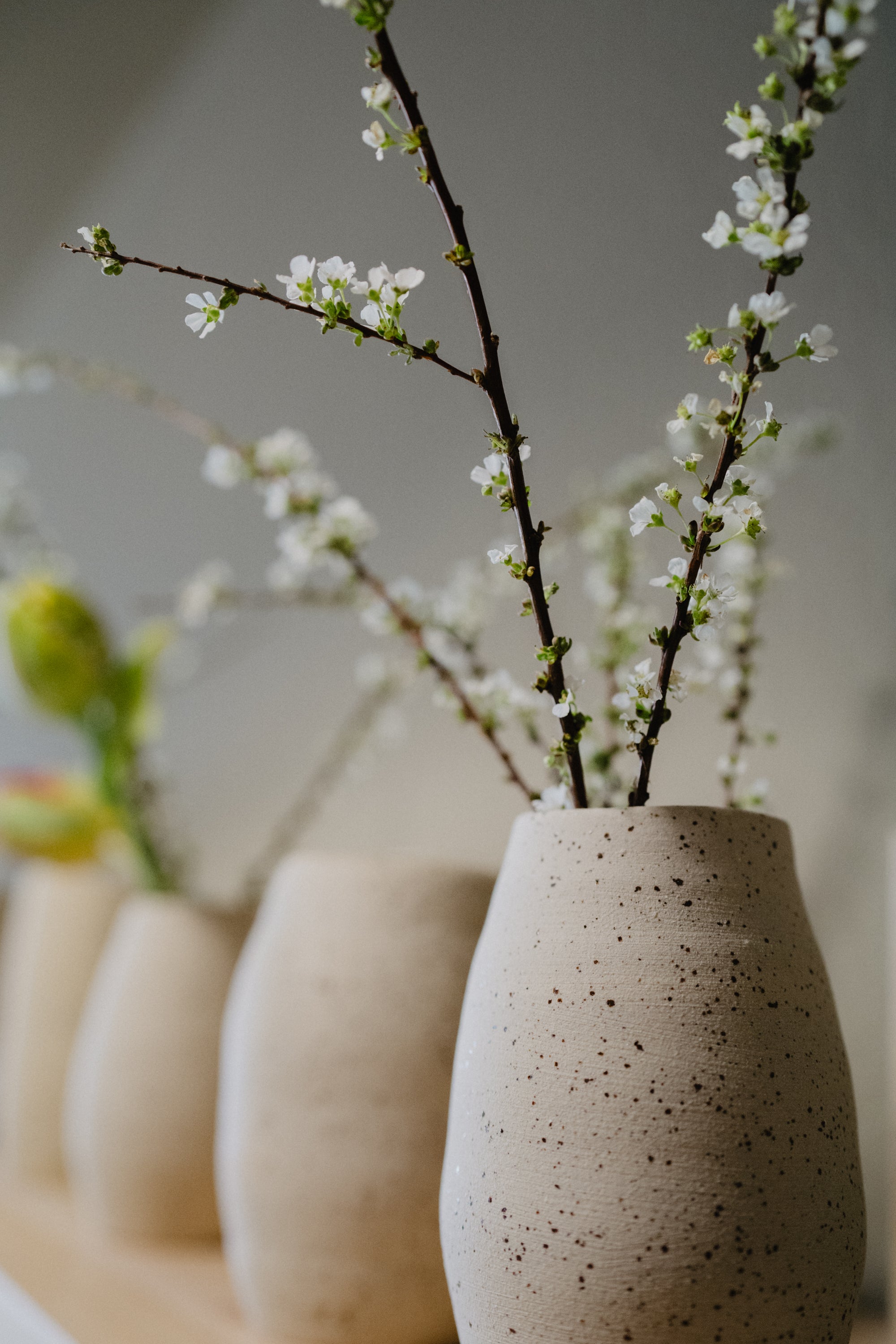 Vase Raw - Voucher